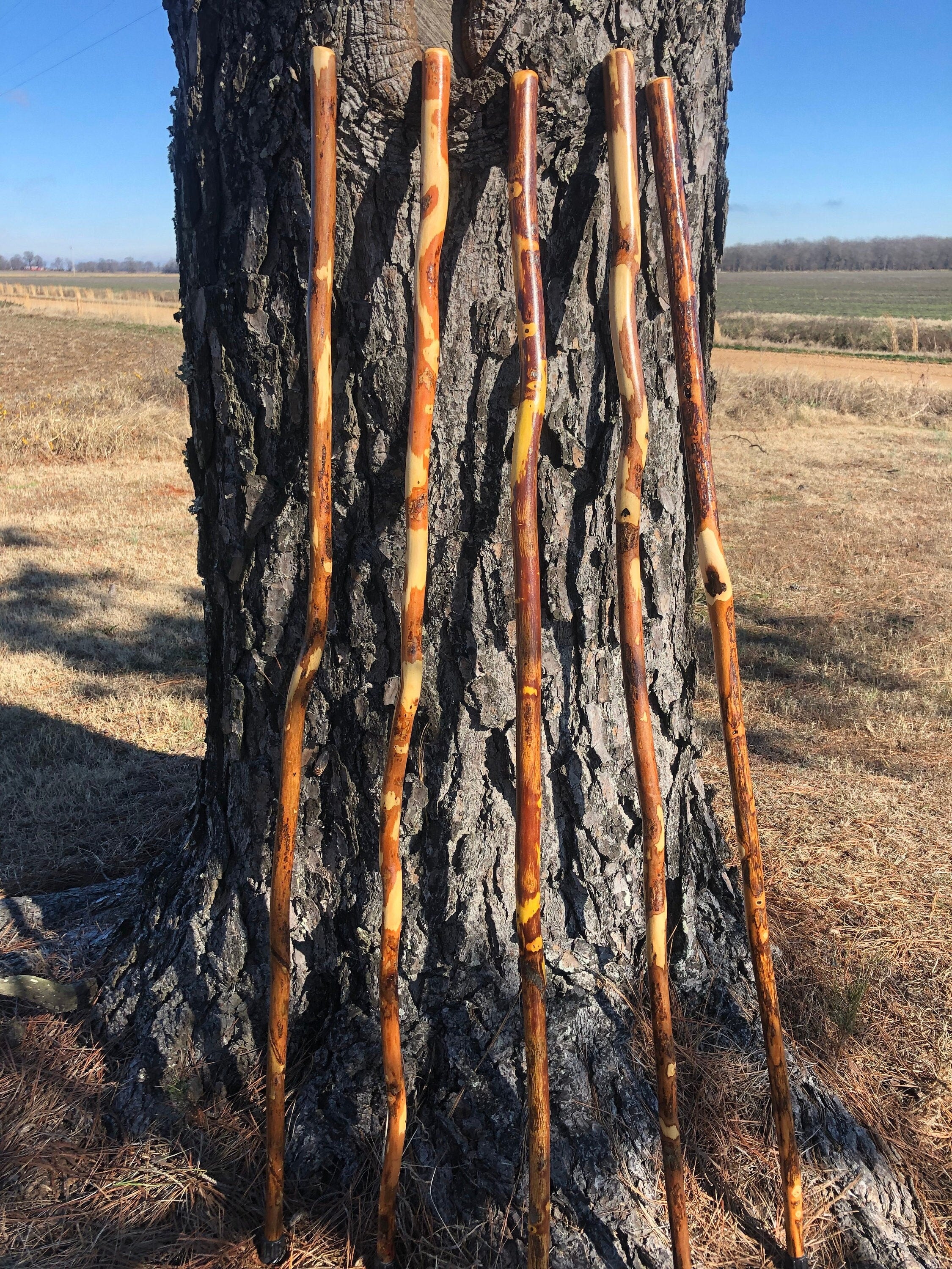 54" Hiking Stick Bundle (2, 3, 4, 6, 8 Pack) Walking Sticks, 48" Wooden Hiking Staff with Rubber Tip
