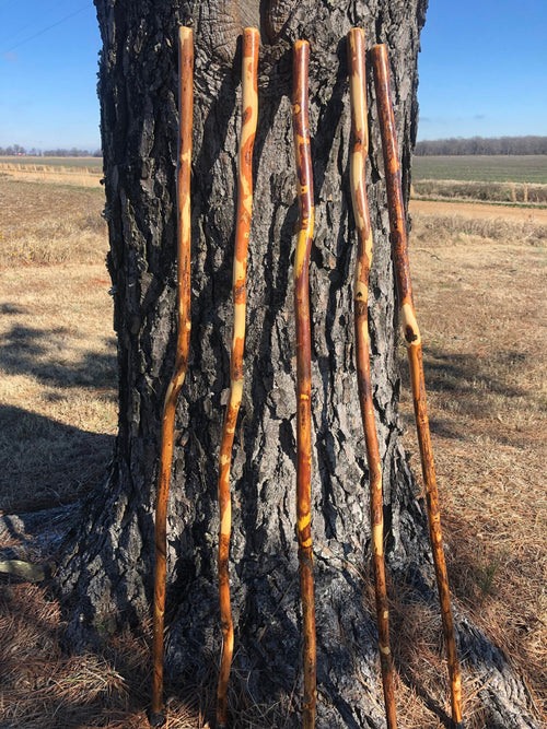 60" Hiking Stick Bundle (2, 3, 4, 6, 8 Pack), Walking Sticks, 60" Wooden Hiking Staff with Rubber Tip