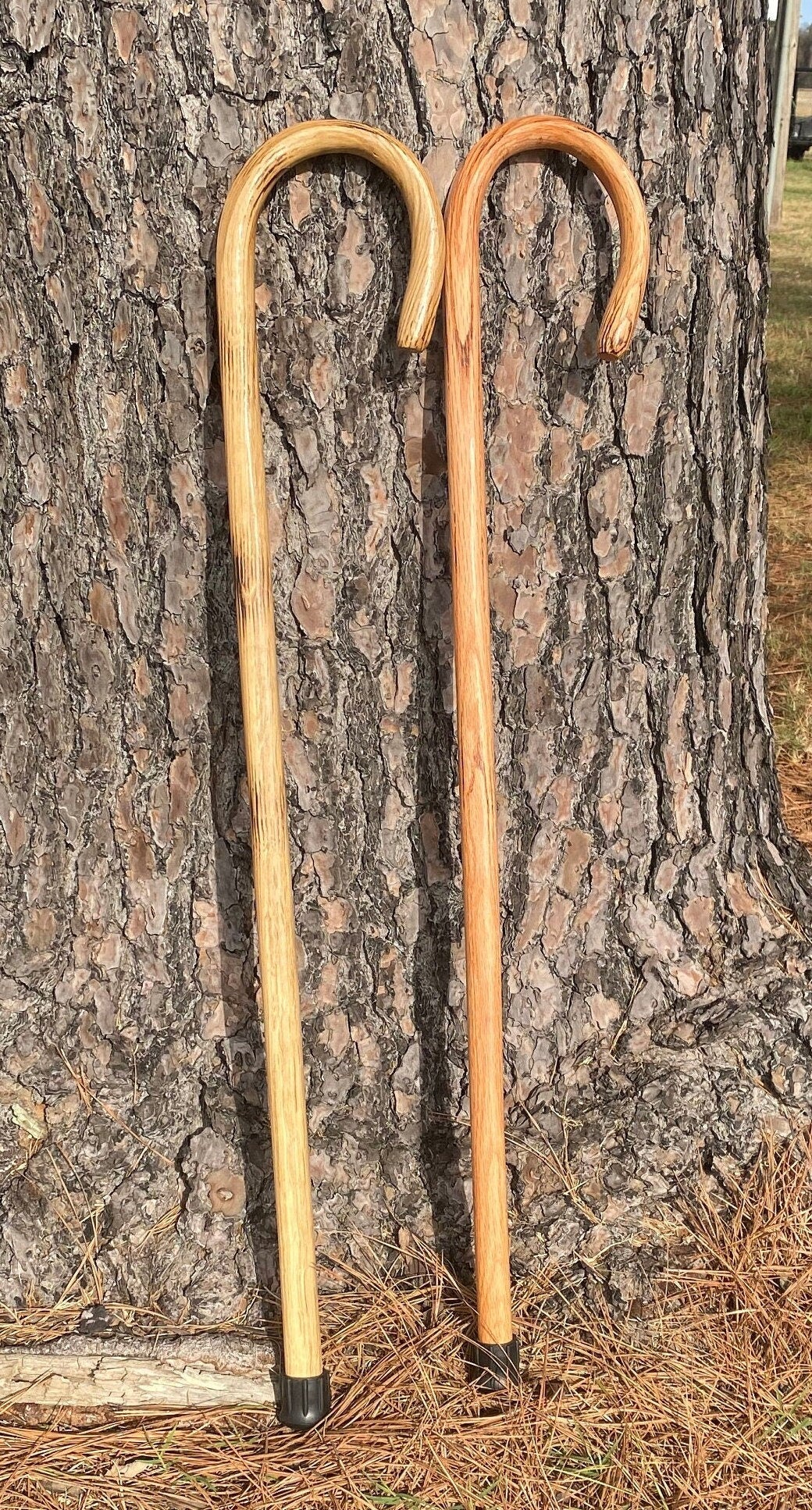 Traditional Shepherd's Cane, Solid Oak Sheep Crook, Functional Livestock Cane, Handmade in the Ozarks