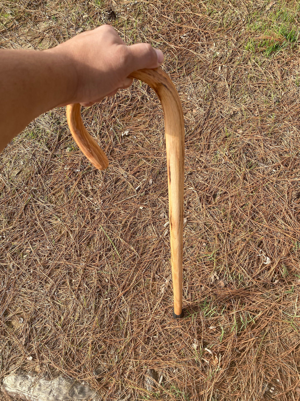 Shepherd's Crook, Shepherd's Staff, Stockman's Cane, Solid Oak Steam Bent Handle Walking Cane
