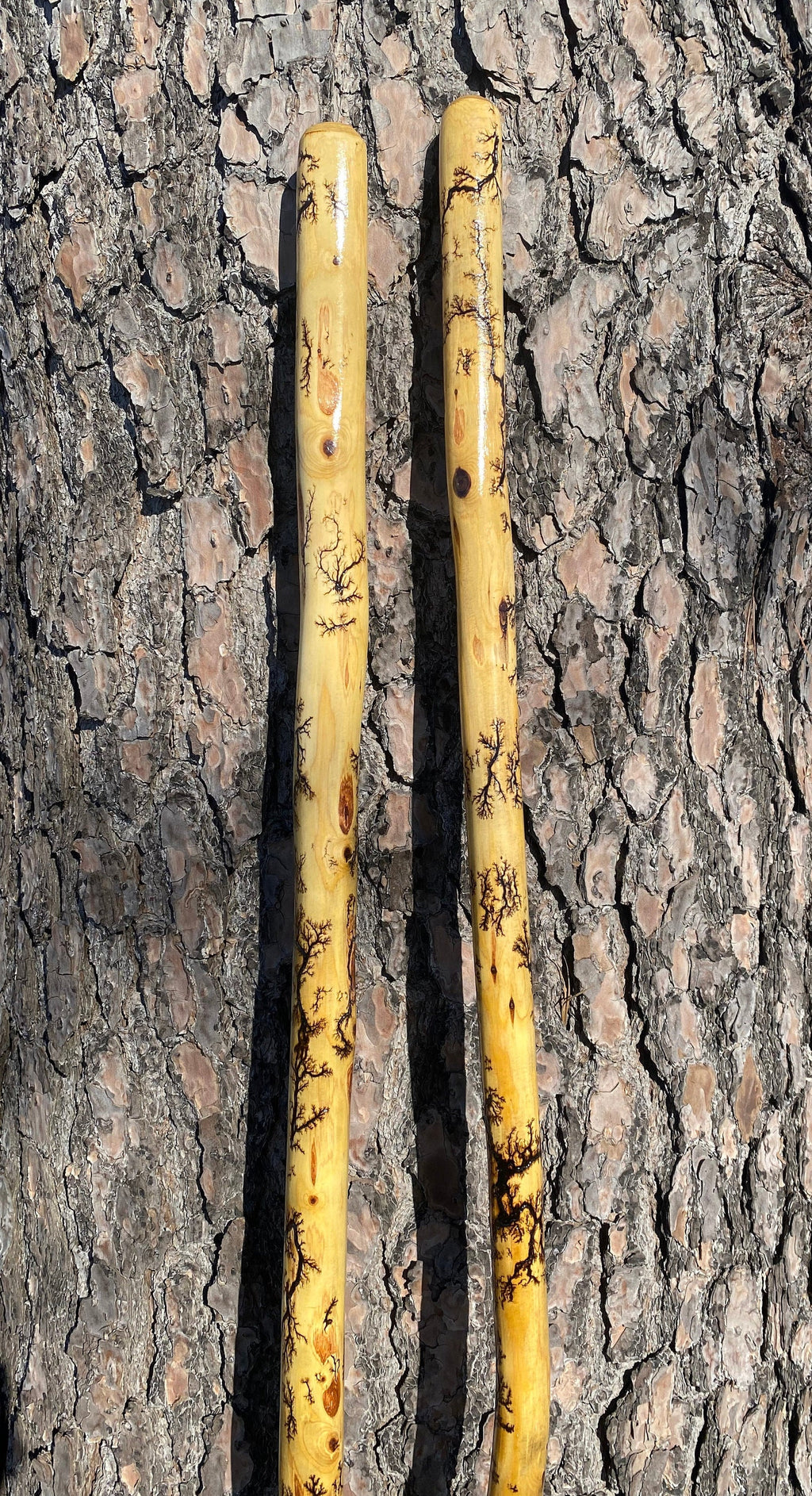 Fractal Burned Walking Stick, Lightning Wood Hiking Stick 60" or 72", Unique Handmade Walking Stick with Rubber Tip