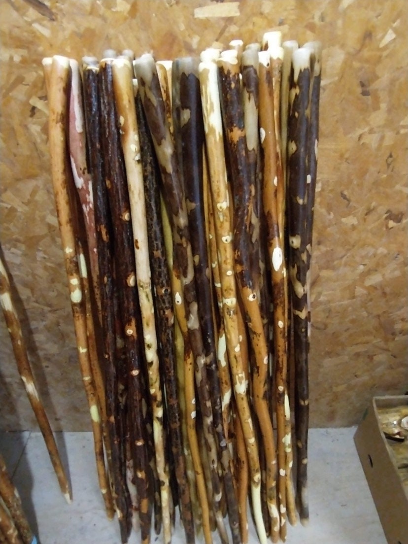 Wholesale Hiking Sticks (30 Pack), Bulk Hardwood Walking Sticks, Ozark Wooden Staffs, Made in the USA