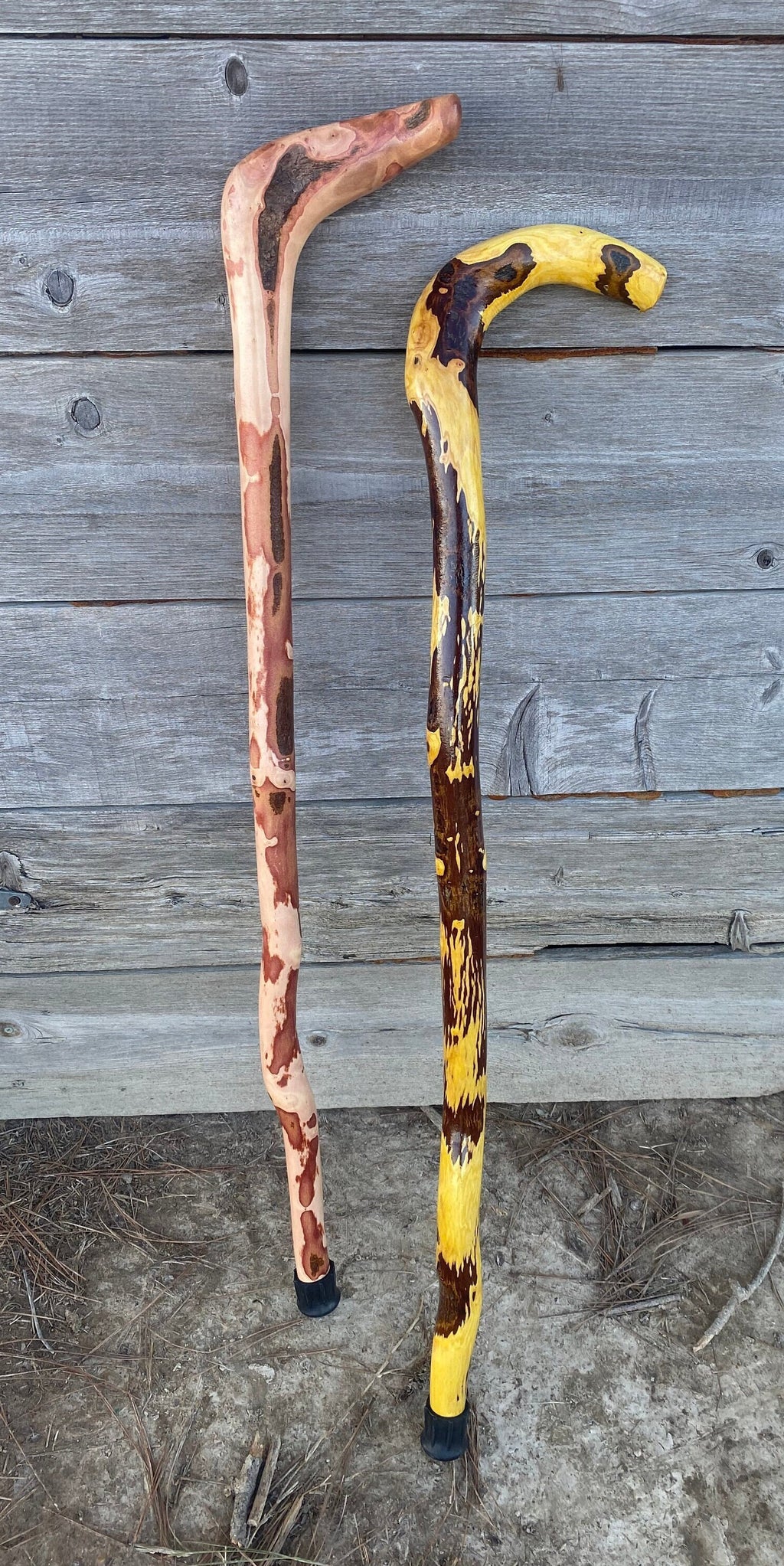 Root Cane, Gentleman's Cane, Walking Cane