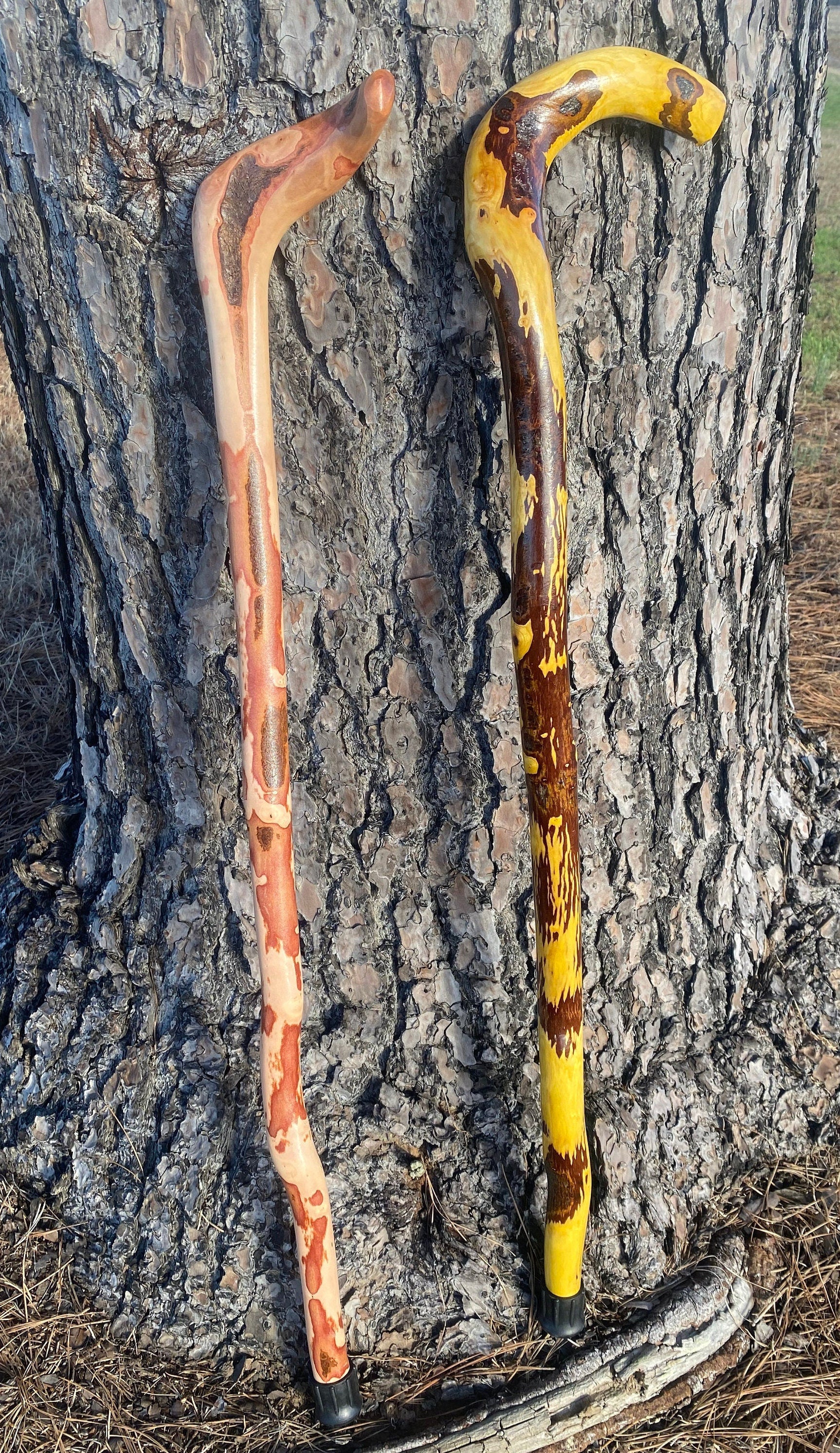 Root Cane, Gentleman's Cane, Walking Cane