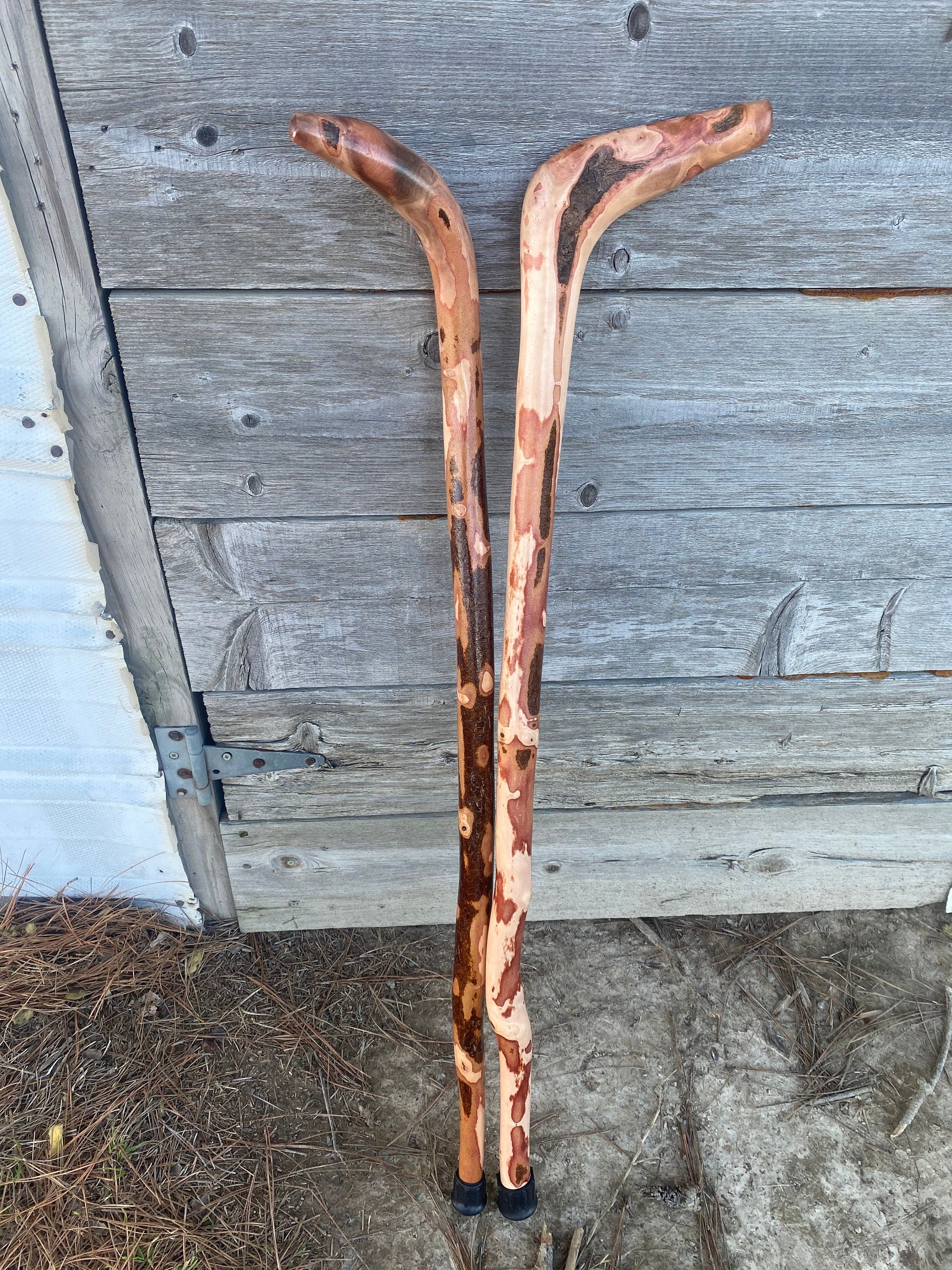 Root Cane, Gentleman's Cane, Walking Cane
