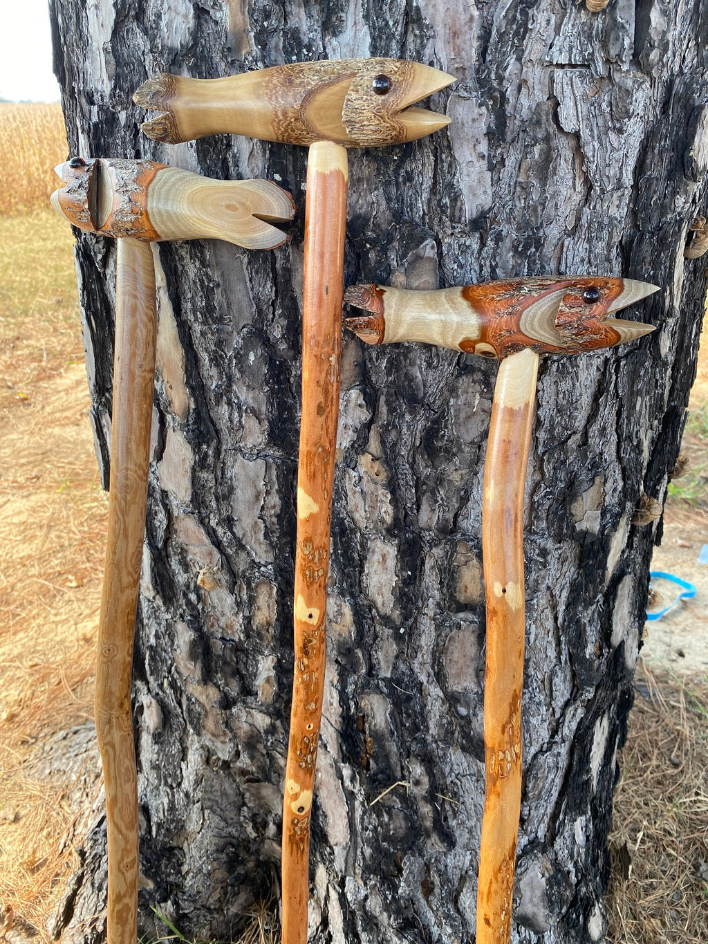 Fish Cane, Gentleman's Cane, Walking Cane