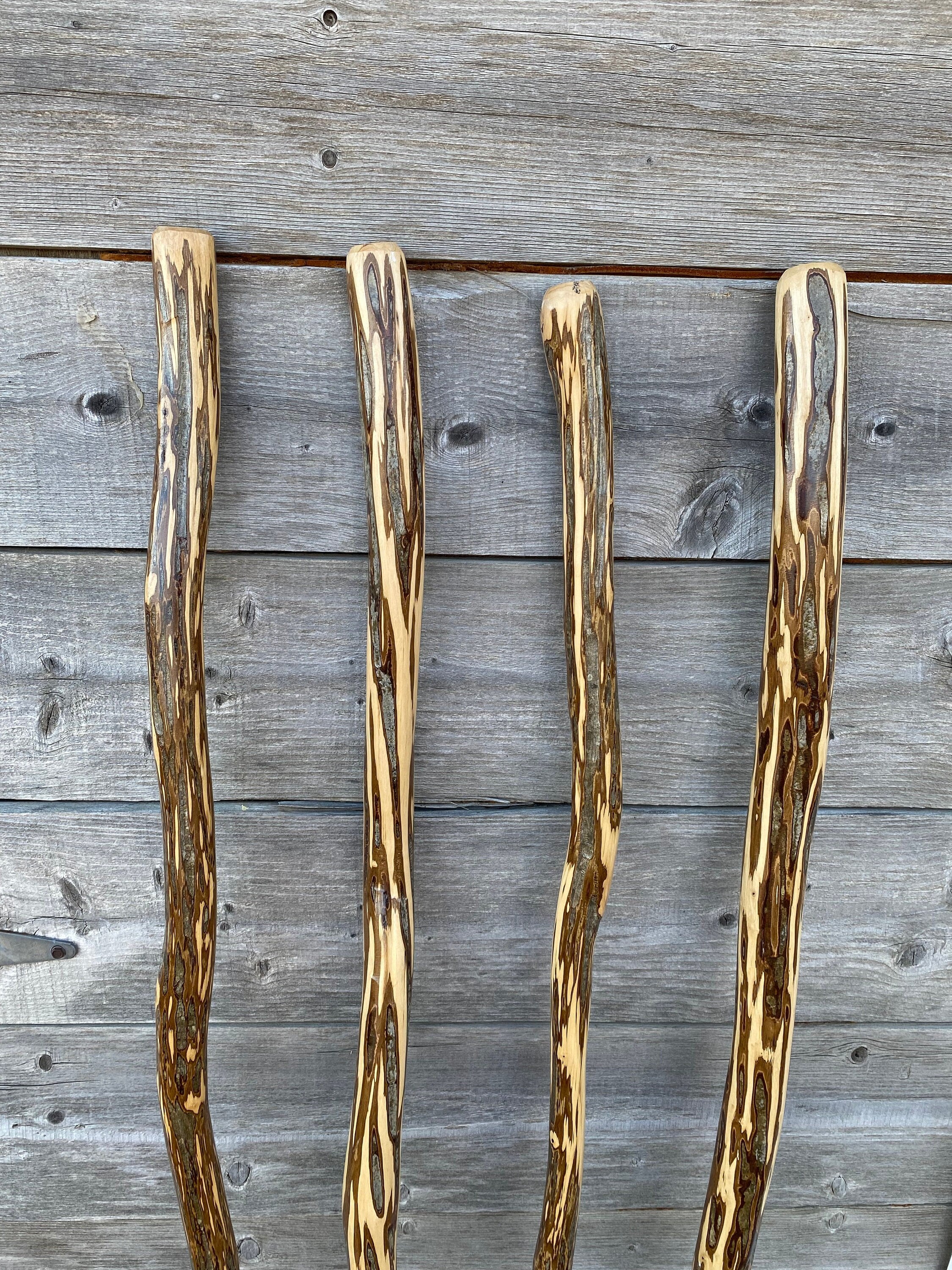 Ironwood Hiking Stick, American Hophornbeam Hiking Stick, Ozark Ironwood Walking Stick, Unique Hiking Stick