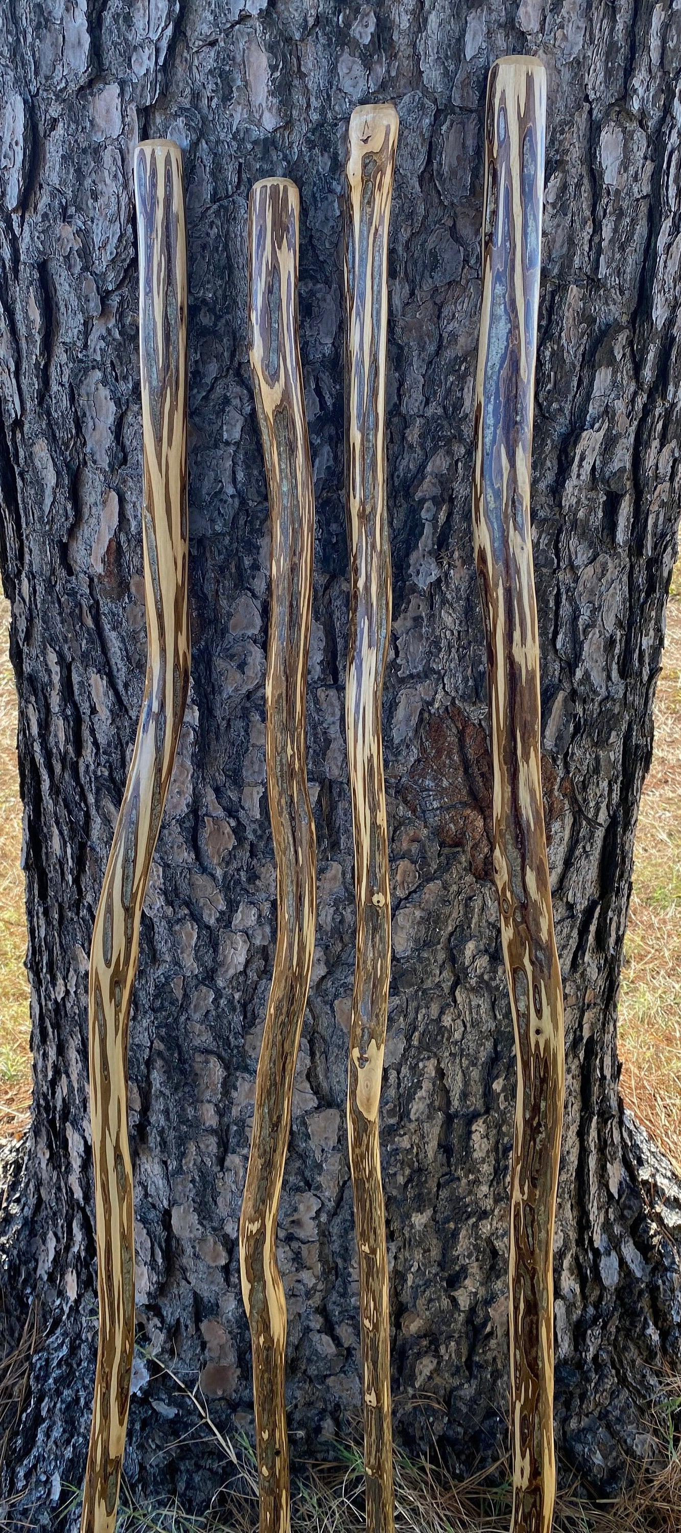 Ironwood Hiking Stick, American Hophornbeam Hiking Stick, Ozark Ironwood Walking Stick, Unique Hiking Stick