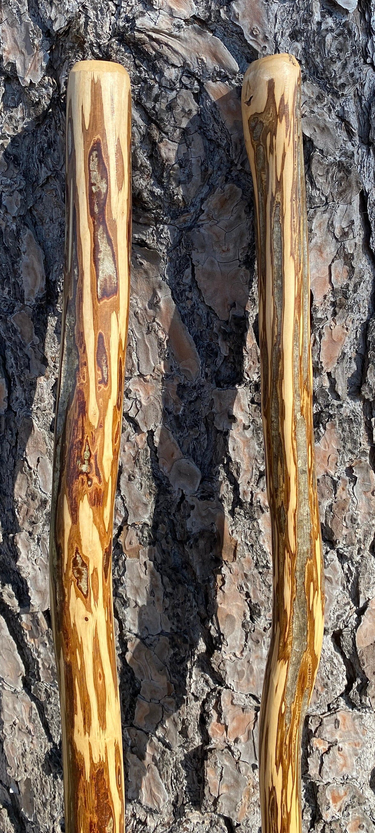 Ironwood Hiking Stick, American Hophornbeam Hiking Stick, Ozark Ironwood Walking Stick, Unique Hiking Stick