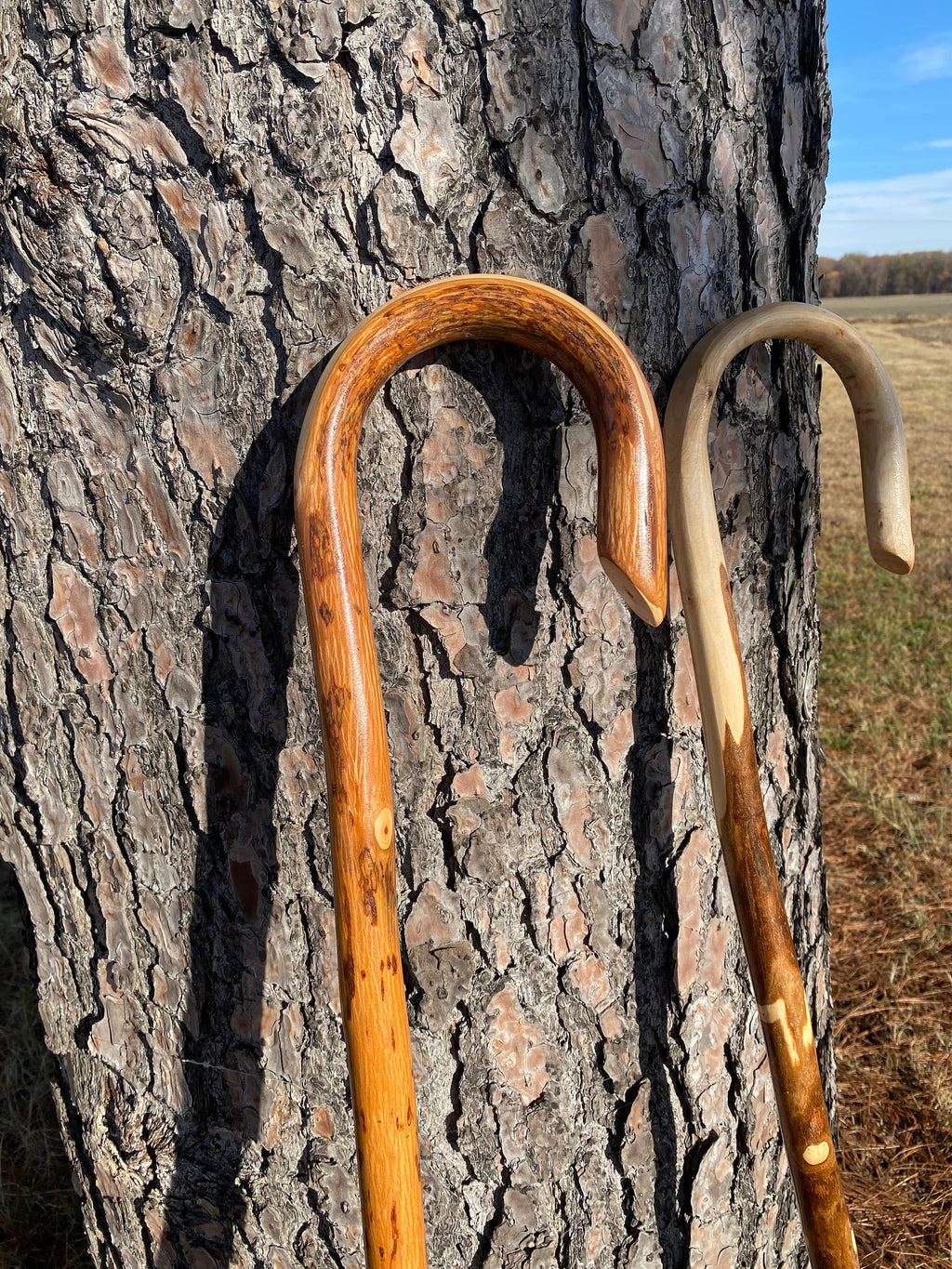 Handcrafted Shepherds Cane, Steam Bent Walking Cane, Rustic Hardwood Staff