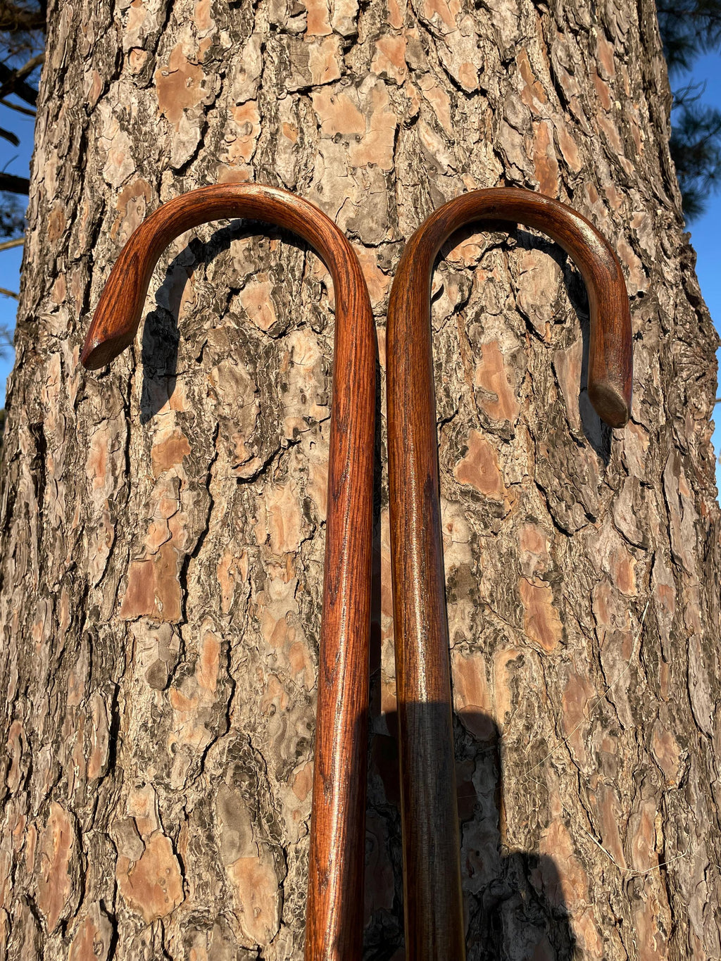 Shepherd's Crook, Shepherd's Staff, Stockman's Cane, Stained Solid Oak Steam Bent Handle Walking Cane