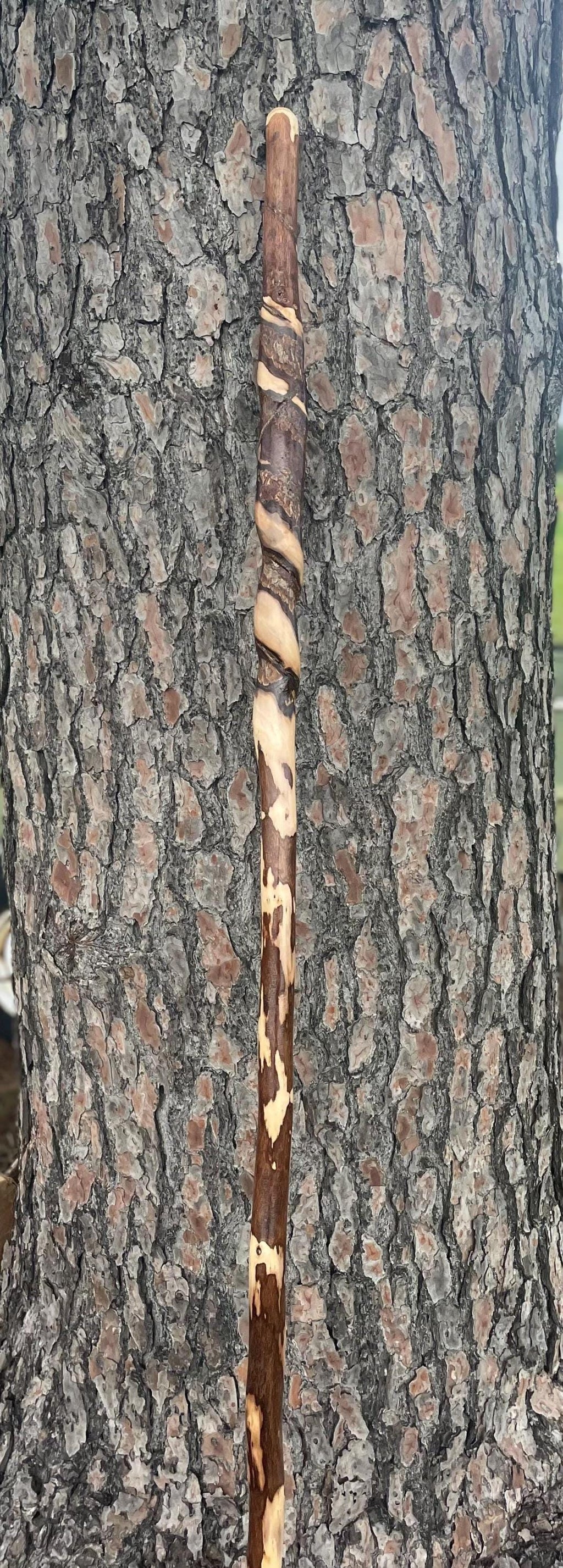 Vine Wrapped Hiking Stick, 72" Vine Choked Hand Carved Walking Stick.