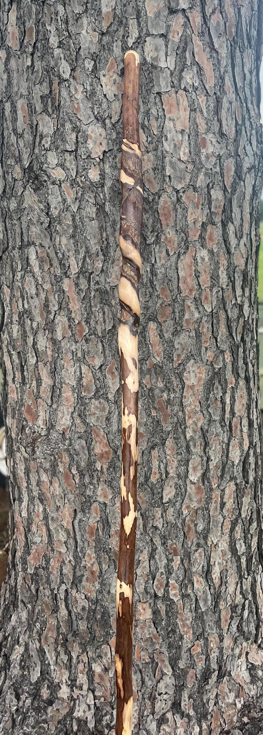 Vine Wrapped Hiking Stick, 72" Vine Choked Hand Carved Walking Stick.