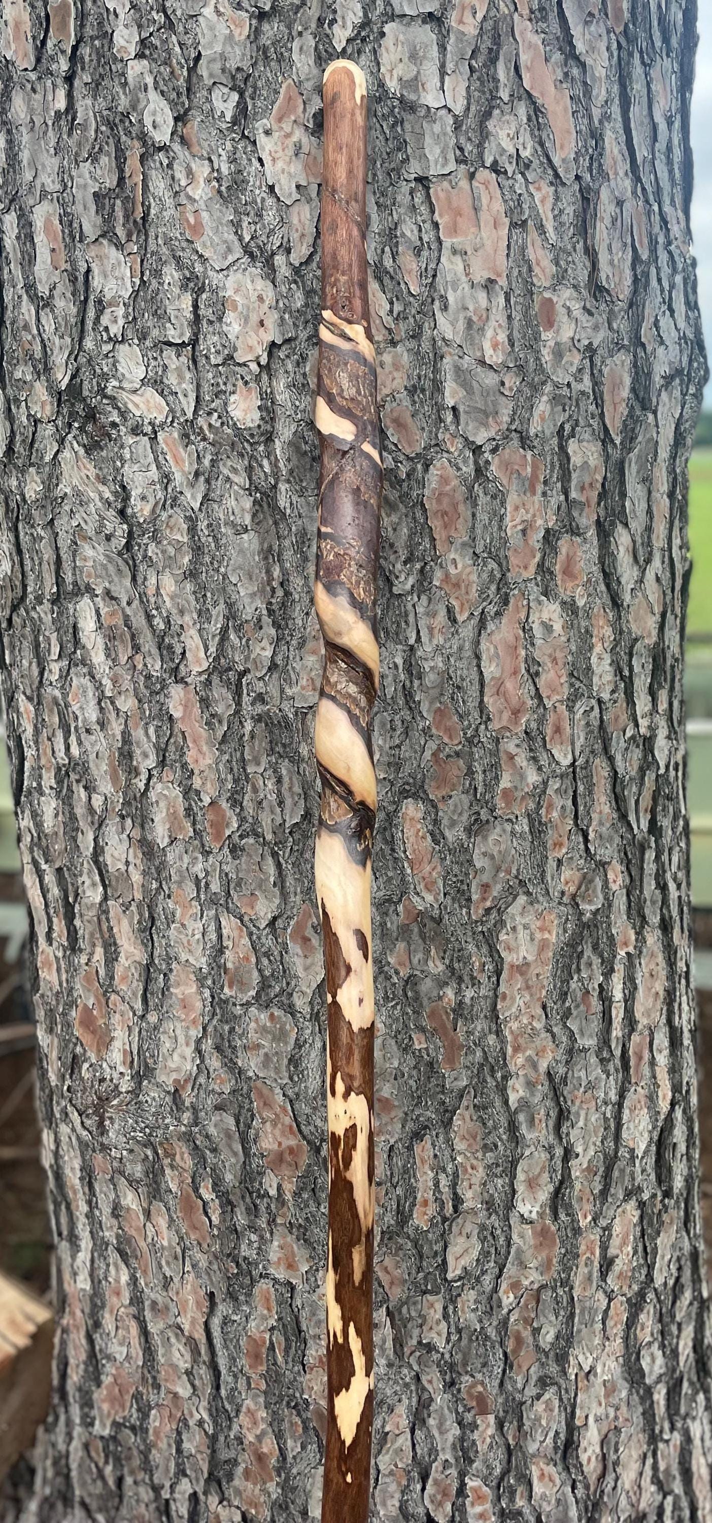Vine Wrapped Hiking Stick, 72" Vine Choked Hand Carved Walking Stick.