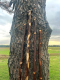 Rare 7'+ tall hiking stick, one of a kind walking stick