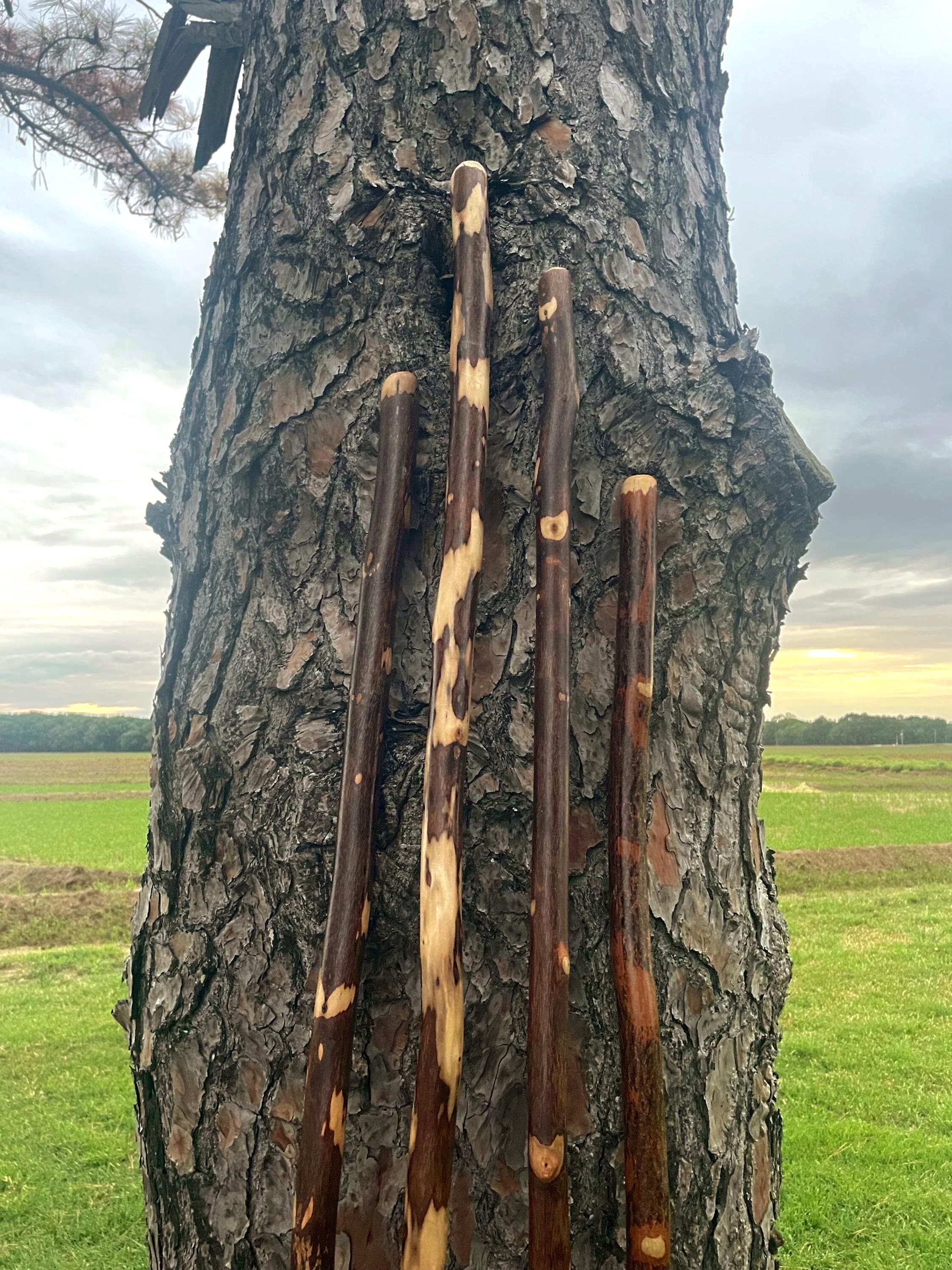Rare 7'+ tall hiking stick, one of a kind walking stick