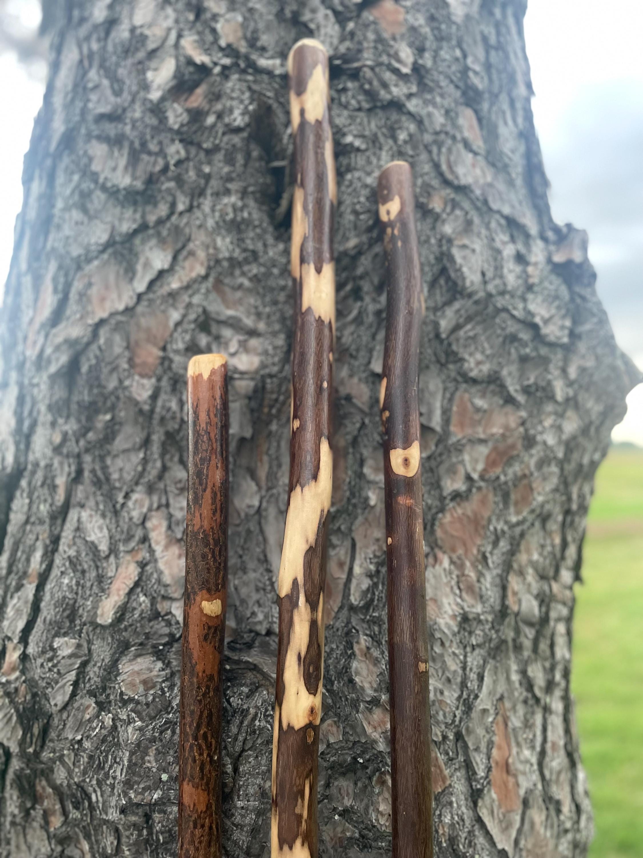 Rare 7'+ tall hiking stick, one of a kind walking stick