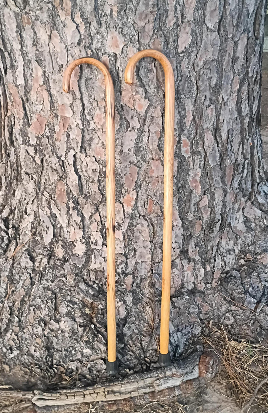 Baby Shepherd's Crook, Tiny Shepherd's Staff, Solid Oak Steam Bent Handle Walking Cane
