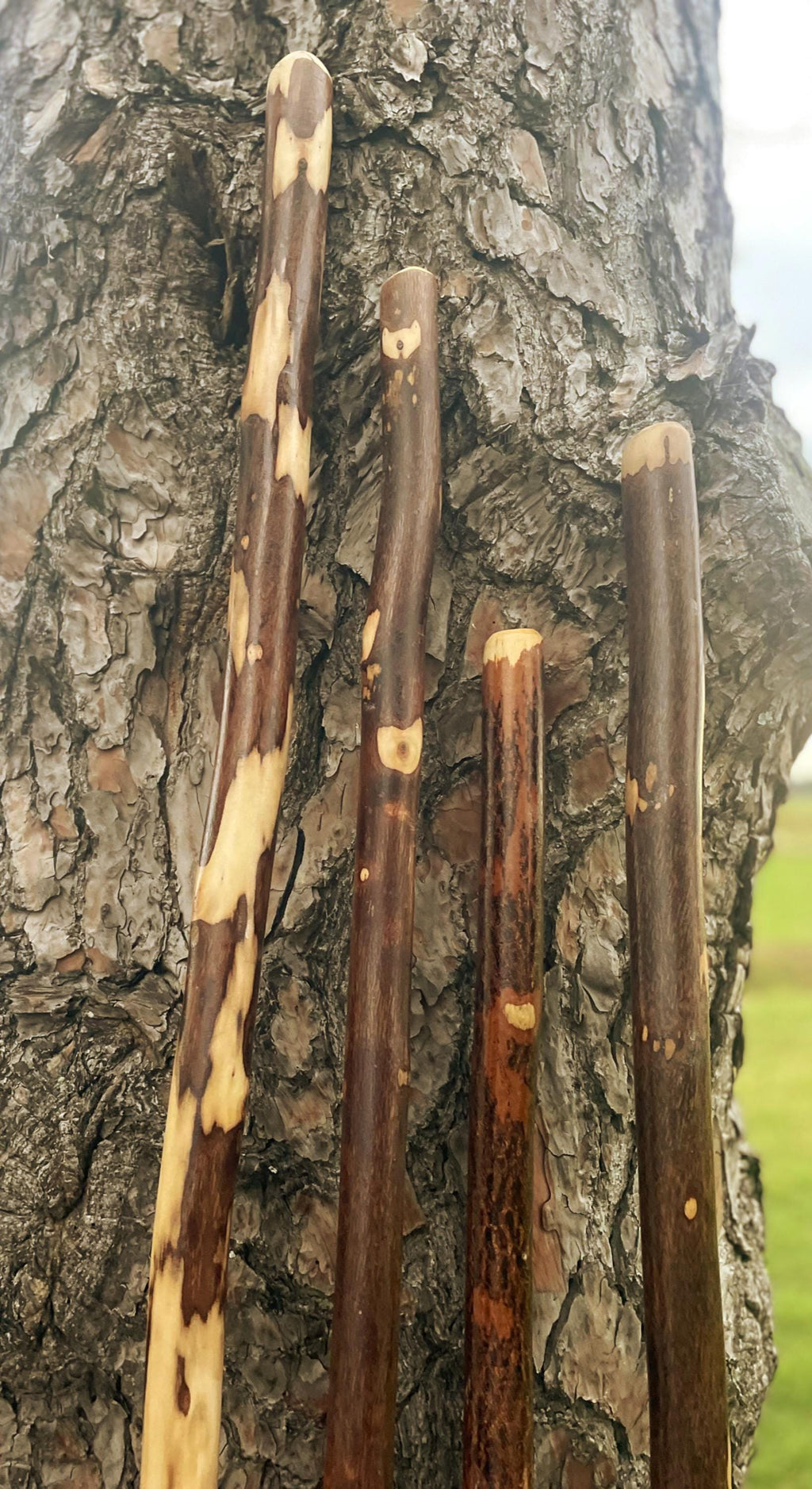 Rare 7'+ tall hiking stick, one of a kind walking stick