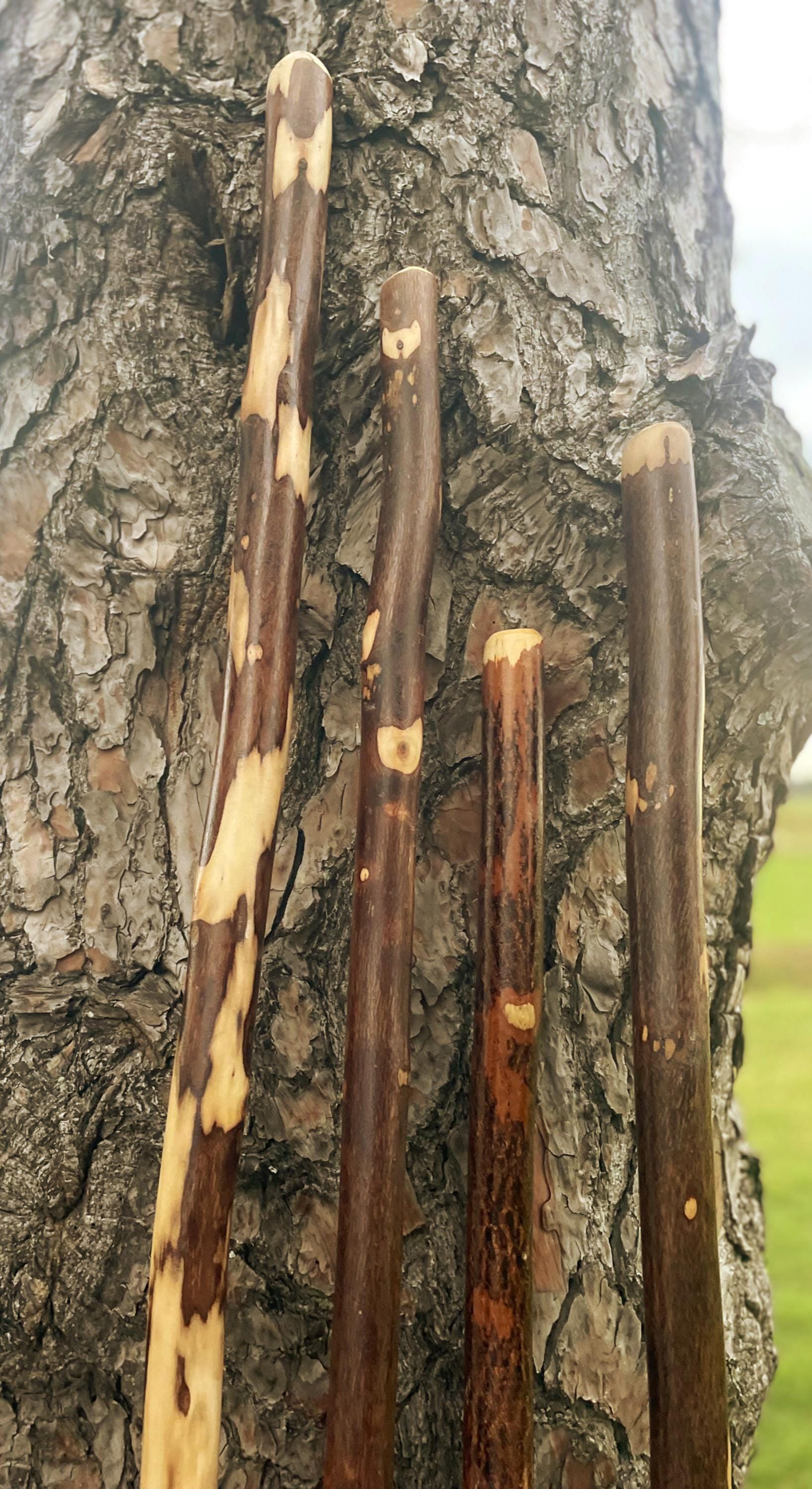 Rare 7'+ tall hiking stick, one of a kind walking stick